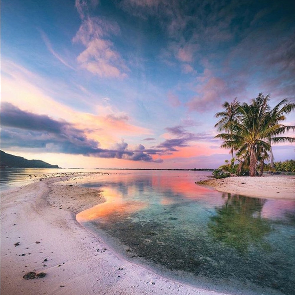 Meet your Posher, Connor